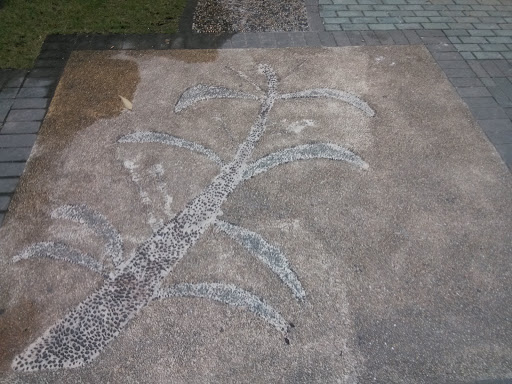 鹅卵石植物地画