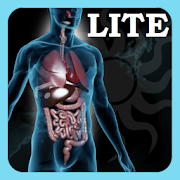 A-Z: Full Body Anatomy LITE 1.0 Icon