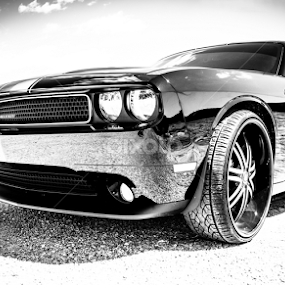 Dodge Challenger by Robie Blair - Transportation Automobiles