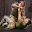 Close Combat Training Download on Windows