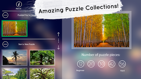 Venn Trees: Circle Jigsaw poster 3