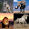 Animal sounds by Magzhan Download on Windows