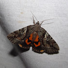 Charming Underwing