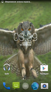 Flying Owl Live Wallpaper(圖2)-速報App