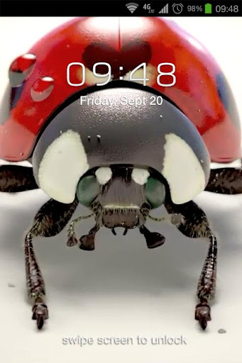 Ladybug 3D Live Wallpaper