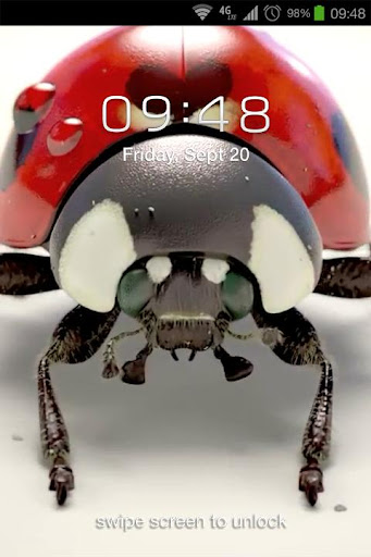 免費下載個人化APP|Ladybug 3D Live Wallpaper app開箱文|APP開箱王