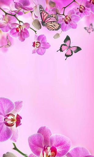 【免費攝影App】Pink Flowers Live Wallpaper-APP點子