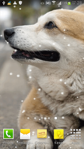 Dog Live Wallpaper 1 - Mobile