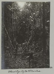 Meetlijn bij de Witwatra