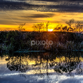 Canal Sunset by Shane Adams - Landscapes Sunsets & Sunrises