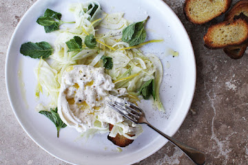 Lemon + Olive Oil Marinated Fennel with Burrata + Mint