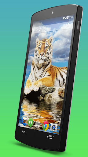 【免費個人化App】Tiger Live Wallpaper-APP點子