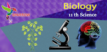 English 11th Biology Sem 1 APK