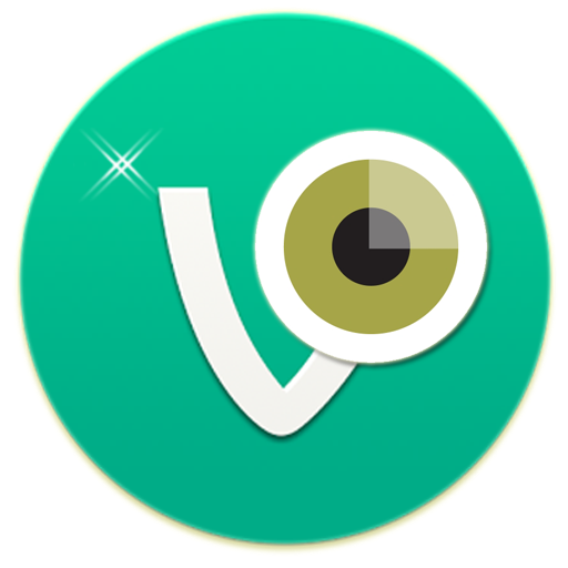 Camera Vine Perfect LOGO-APP點子