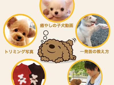 選択した画像 動画 アプリ 犬 485296-犬 喋る 動画 アプリ