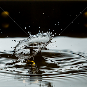 Water Drop Crash by MIGUEL CORREA - Abstract Water Drops & Splashes