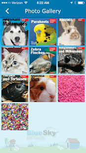 How to download Blue Sky Pet Supply 4.0.2 apk for laptop