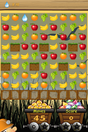 Gemstone Jamboree poster 5