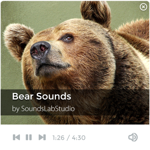 Bear Sounds