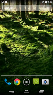 Forest Video Live Wallpaper(圖3)-速報App