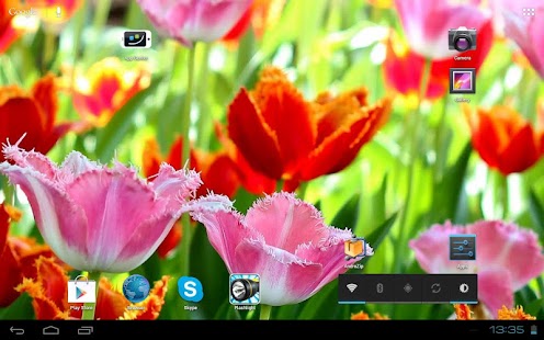 Fascinating Flowering Tulips Screenshots 5