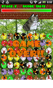 KOTTORIN(圖4)-速報App