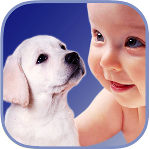 ZOOLA - Animal school for kids logo
