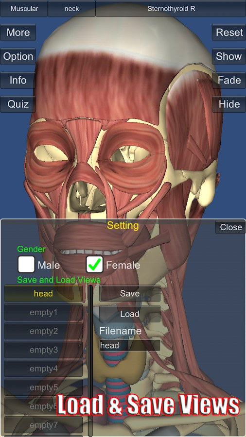 3D Anatomy Lite screenshot