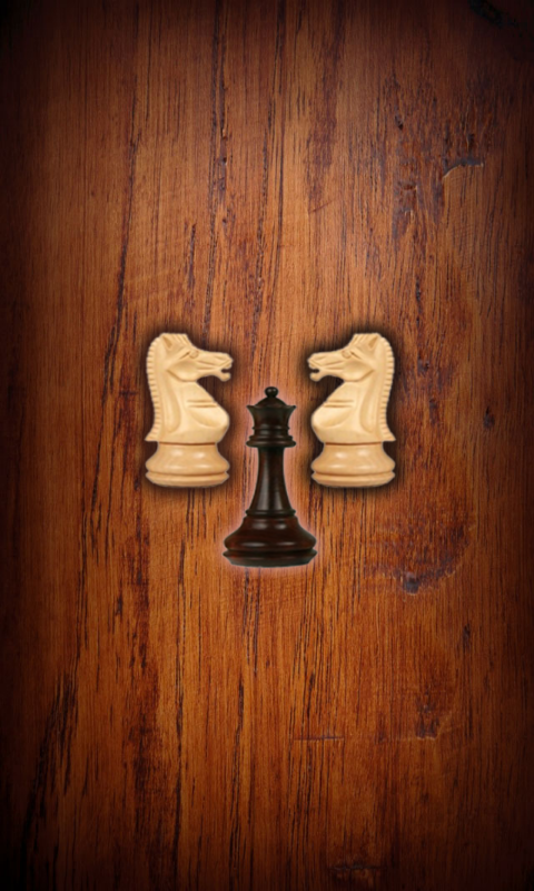 Android application Chess online screenshort