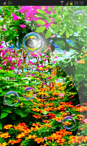 Flower Gardens 3D Butterfly