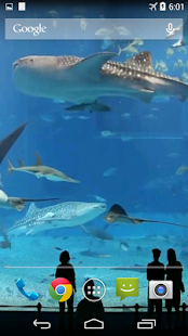 Mega Aquarium Video Wallpaper(圖1)-速報App