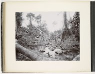 Coolies constructing a road