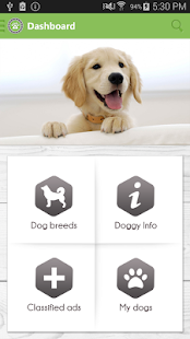 HUNDO - All About dogs(圖2)-速報App
