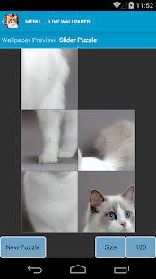 Cute Cats Live Wallpapers(圖4)-速報App