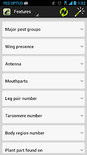 Palm Screening Aid Key(圖2)-速報App