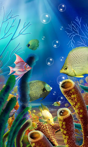Aquarium Live Wallpaper free