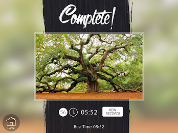 Venn Trees: Circle Jigsaw poster 12