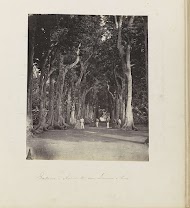 Batavia - Achter Mr. van Leeuwen's huis