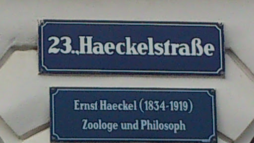 Ernst Haeckel 1834-1919