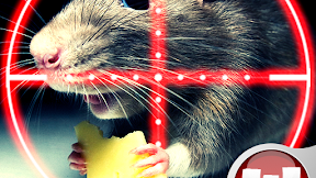 Anggaran Cepat Apk : Kalender Kehamilan Dan Kelahiran, Nov 17, 2020 · bank sentral adalah lembaga keuangan perbankan yang berbentuk badan hukum.