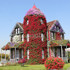 House of Flowers by Muhammed Owais Ashraf - Buildings & Architecture Homes