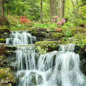 Azalea Waterfall by Tonya Sheetz - Landscapes Waterscapes