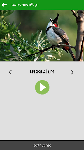 【免費娛樂App】นกกรงหัวจุก-APP點子