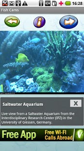 Download Fish Cams APK