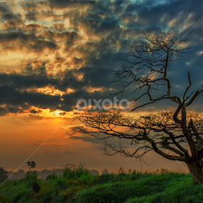 It is a New Dawn, it is a New Day. by KIN WAH WONG - Landscapes Sunsets & Sunrises