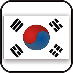 Flag of South Korea doo-dad