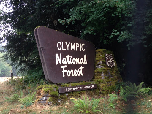 Olympic National Forest