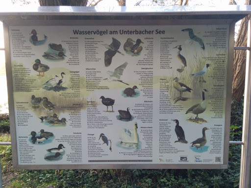 Wasservögel am Unterbacher See