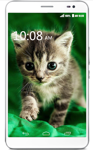 【免費工具App】Hello kittens-APP點子