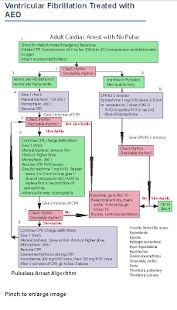 ACLS Provider Manual